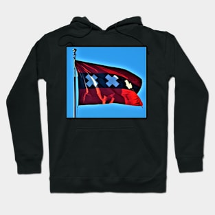 A View Of Amsterdam Hoodie